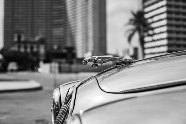 BetRegal Kazino Android/iOS programa